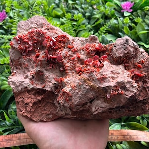 Vanadinite Morocco natural crystal minerals specimen clusters souvenirs WholesaleMineralsBox