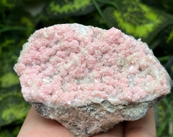 クォーツクロライトマダンブルガリア天然水晶鉱物標本クラスターお土産