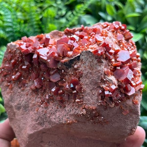 Vanadinite Morocco natural crystal minerals specimen clusters souvenirs WholesaleMineralsBox