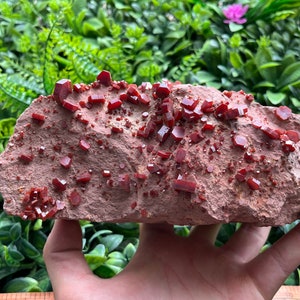 Vanadinite Morocco natural crystal minerals specimen clusters souvenirs WholesaleMineralsBox