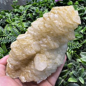Manganocalcite fluorescent Rhodochrosite Madan Bulgaria natural crystal minerals specimen clusters souvenirs WholesaleMineralsBox