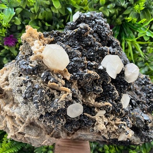 May include: A large, rough, gray and black rock with several white, translucent crystals. The crystals are clustered together on the rock.