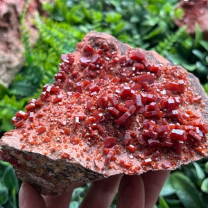 Vanadinite Morocco natural crystal minerals specimen clusters souvenirs WholesaleMineralsBox