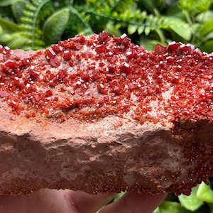 Vanadinite Morocco natural crystal minerals specimen clusters souvenirs WholesaleMineralsBox