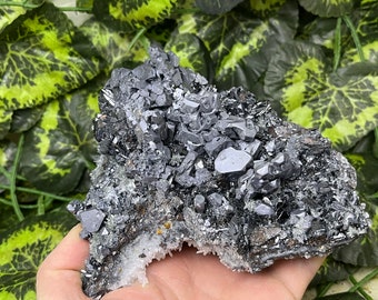 Galena Sphalerite Quartz Madan Bulgaria natural crystal minerals specimen clusters souvenirs WholesaleMineralsBox