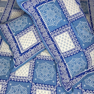 May include: Blue and white patterned bedding with a paisley design. The bedding includes a flat sheet, a fitted sheet, and two pillowcases.