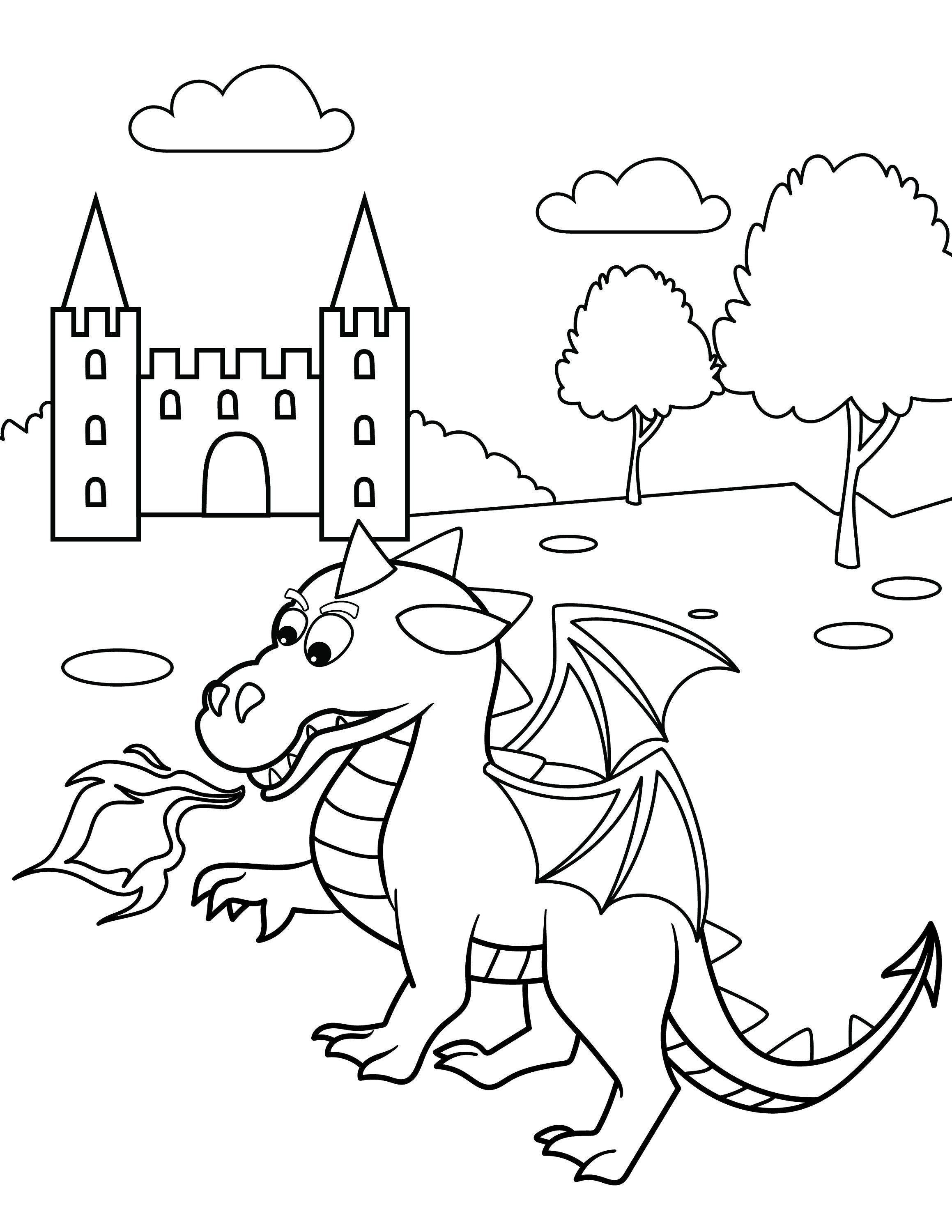 Ctosree 24 Pcs Dragon Coloring Books for Kids Dragon Party Castle