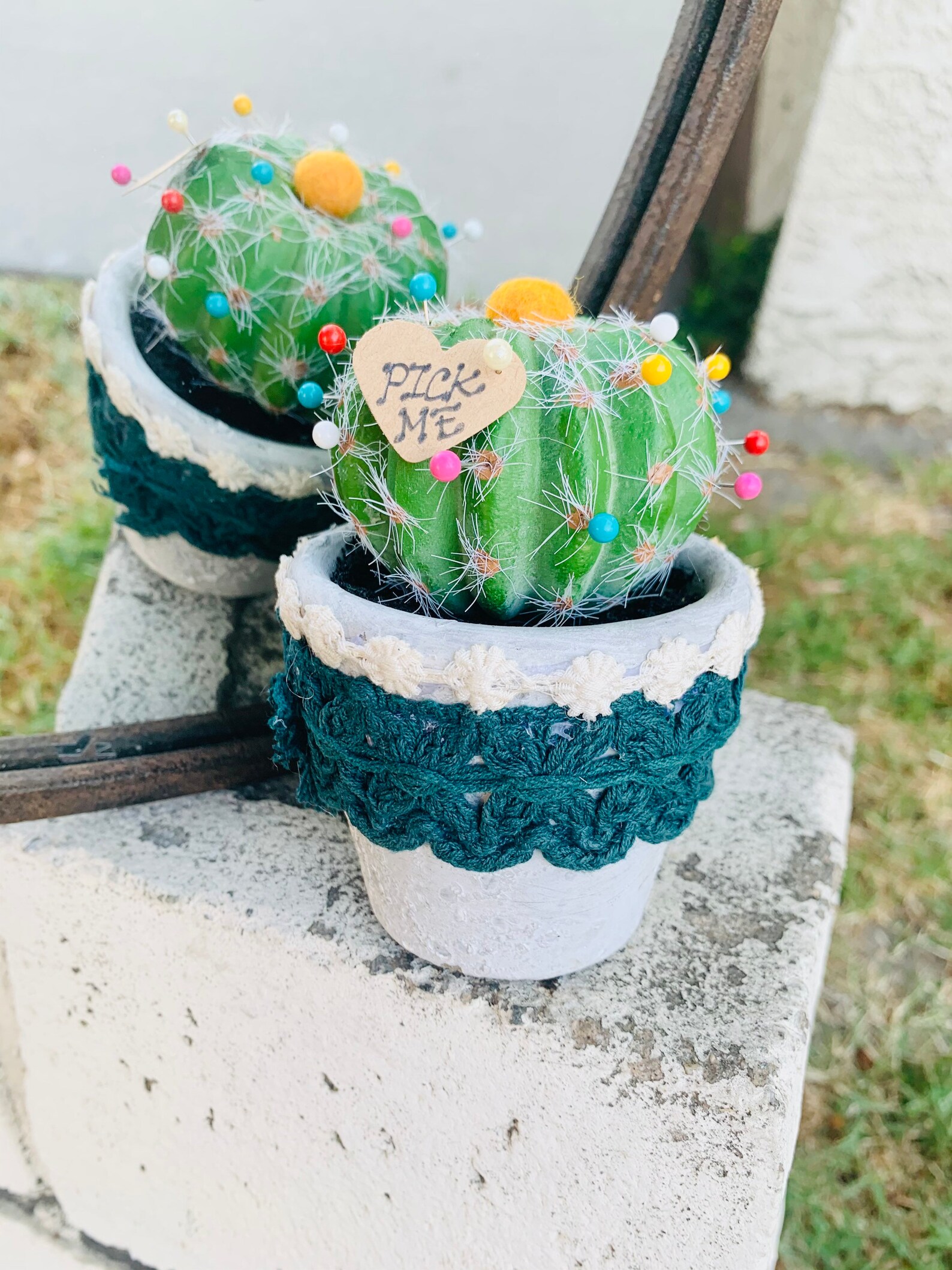 Cactus Push Pin Plant Push Pin Sewing Needles Unique Etsy Polska