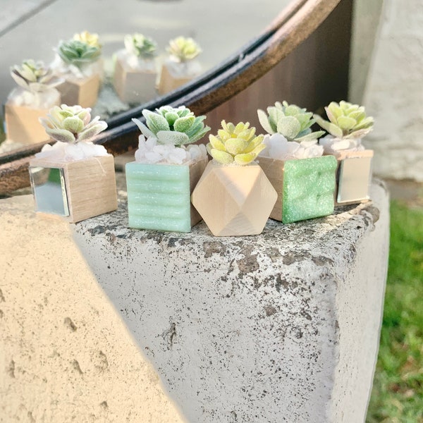 Succulent Etsy