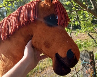 Hand made hobby horse!