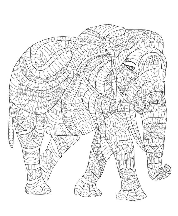 Animal Mandala Coloring Pages, Adult Coloring Pages, Printable