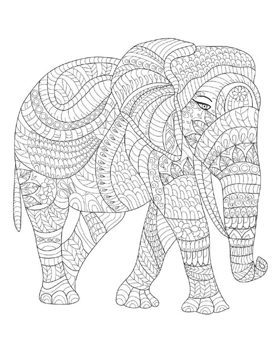 Animales - Libro para colorear mandalas: Maravillosos mandalas para gente  apasionada - Libro de colorear Adultos y niños Antiestrés y relajante  (León, elefante, pájaro, gato, perro, camello) Regalo 