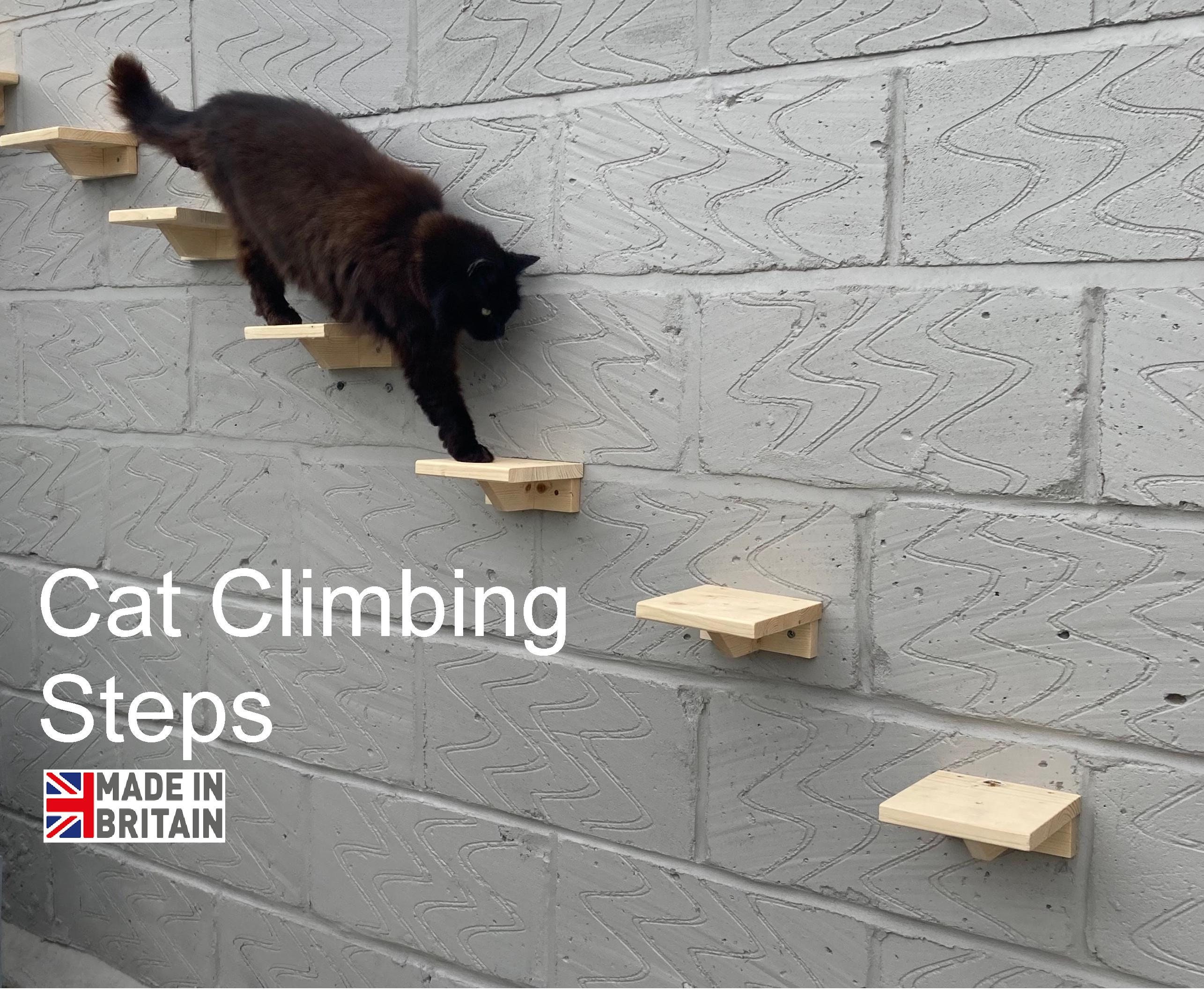 Stair Railing Cat Scratching Stairs Cat Stairs UK