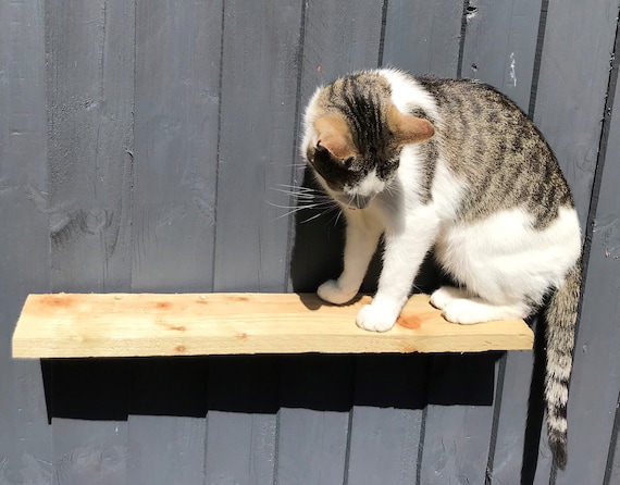 Cat cage shelves hot sale