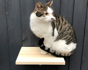 Solid Wood Floating Cat Perch: Wall Mounted Cat Steps