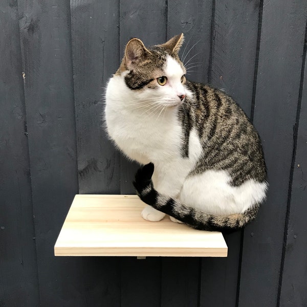 Large Wall Mounted Floating Cat Perch , Cat Steps - Solid Wood Cat Shelf - Floating Wooden Cat Furniture