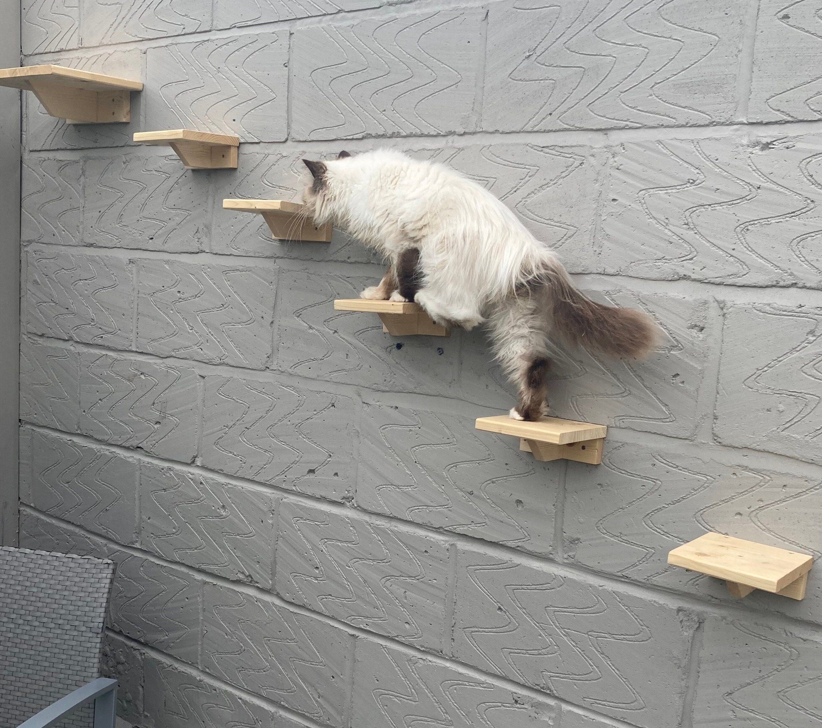 Cat Steps Floating Wooden Cat Climbing Steps Cat Stepper Shelf Furniture Cat Platform for INDOOR or OUTDOOR Use Hand Made in UK Etsy