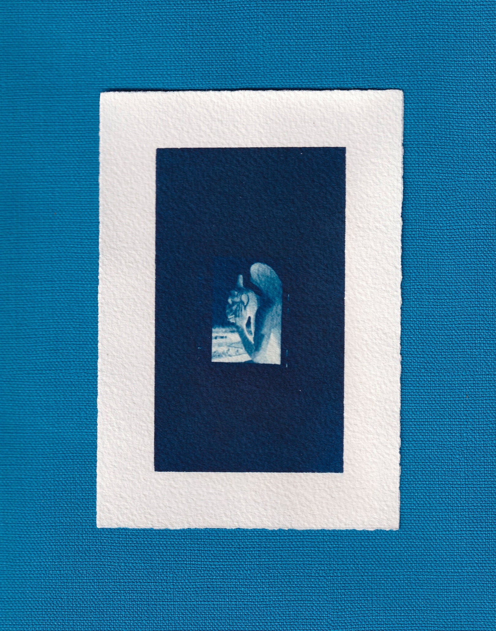 Cyanotype _ 09