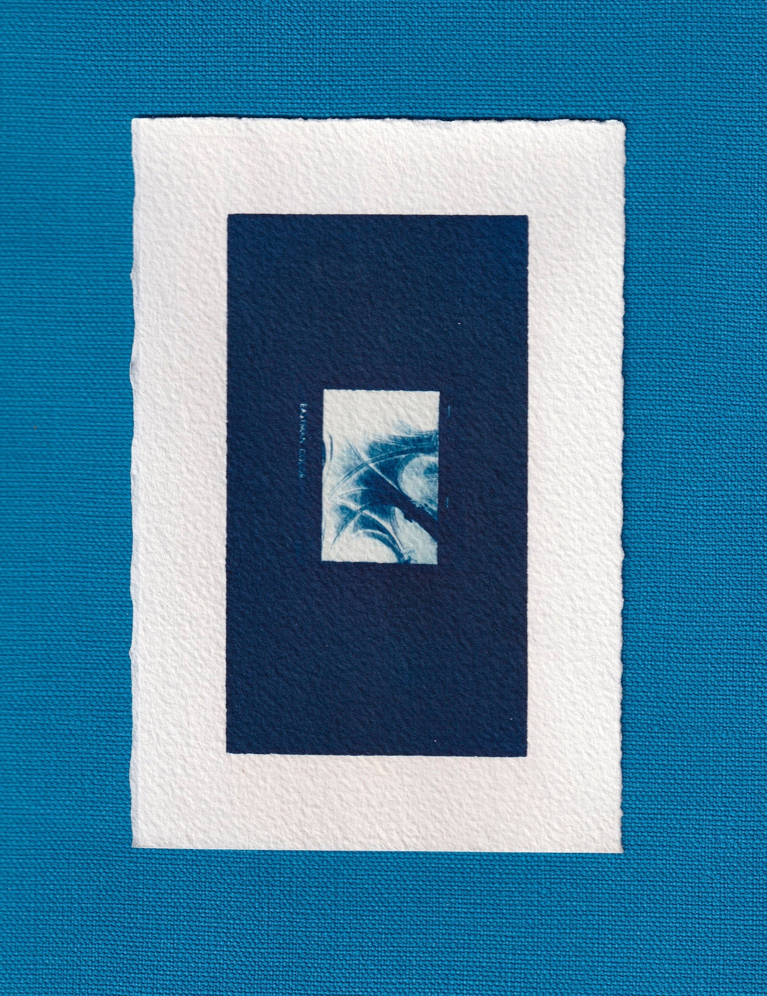 Cyanotype _ 10