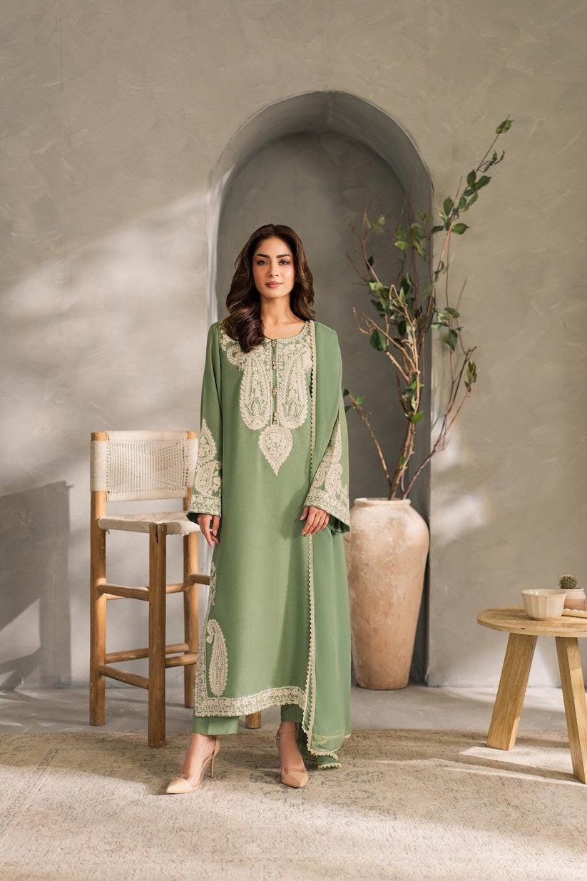 green emerald velvet dress Dhanak Fabric main image 0