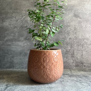 Pink Paisley Ceramic Planter