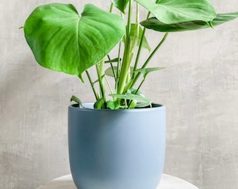 Blue Ceramic Planter (With Drainage)