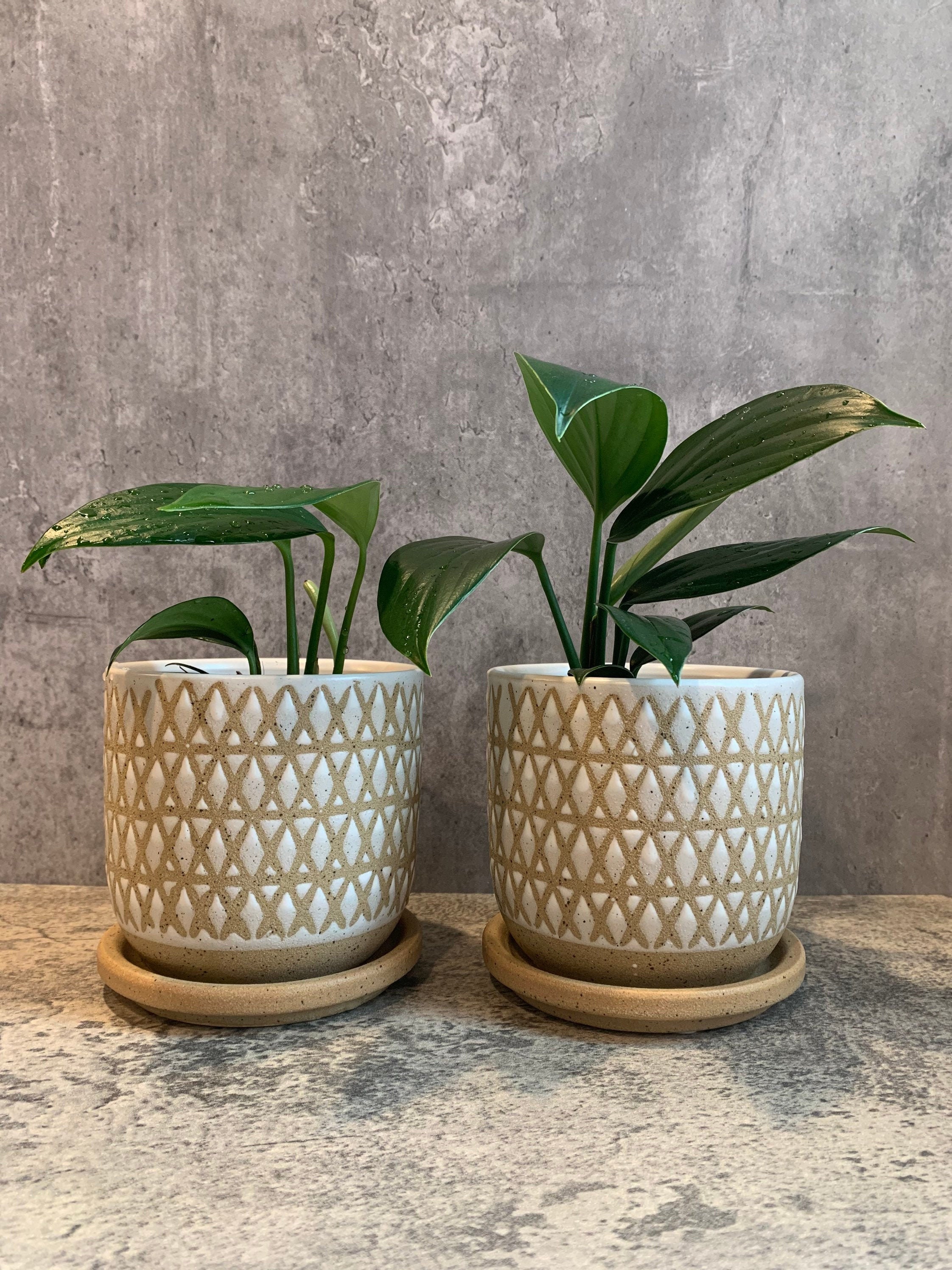 5 Textured Ceramic Planters Etsy UK