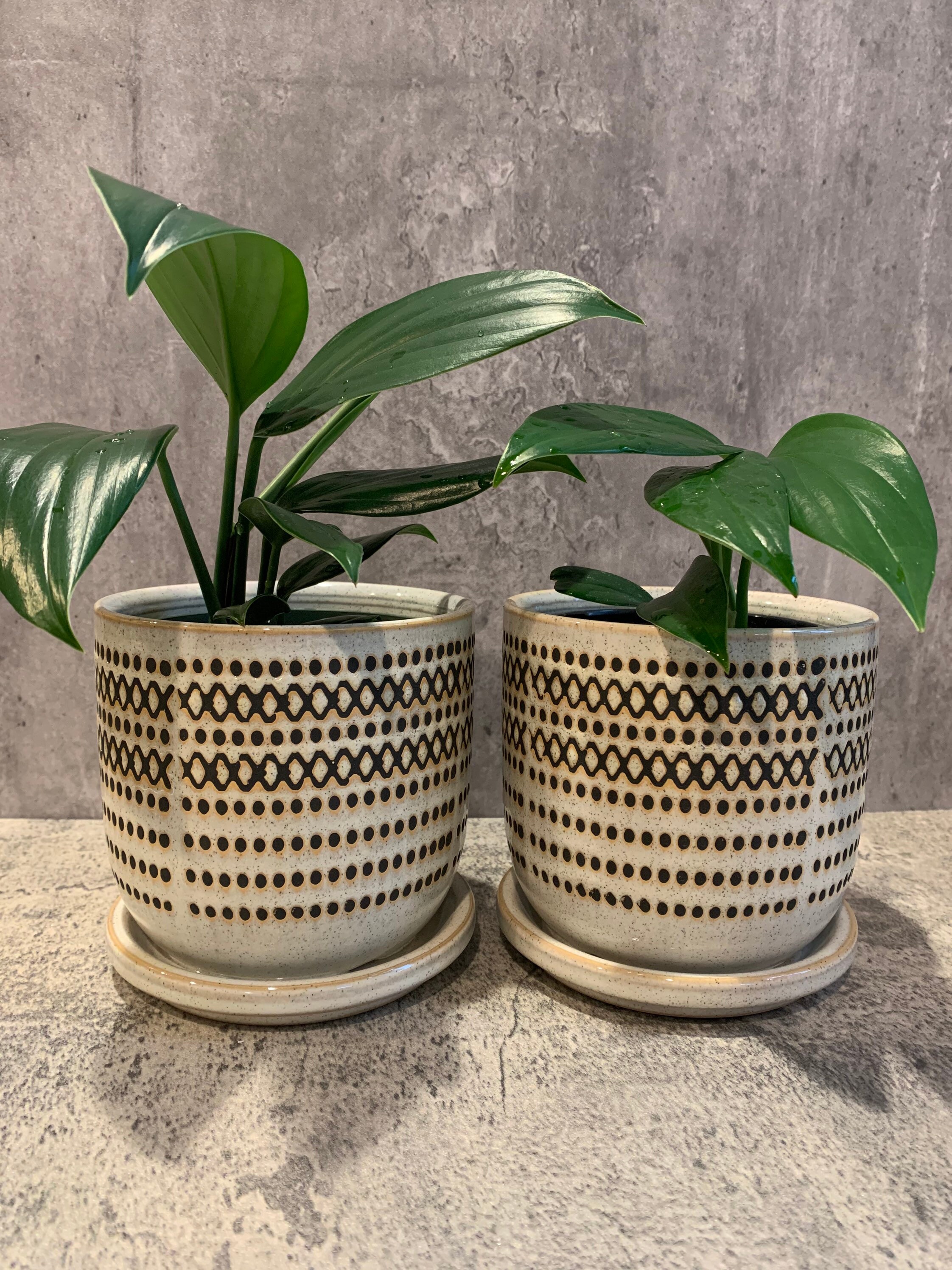 5 oder 6 Azteken Keramik Überpflanzen Sagebrook | Etsy