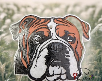 Perro bulldog inglés freshie