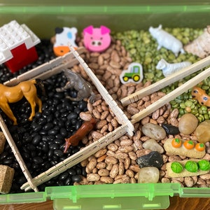 Farm Sensory Bin, Farm Activity Kit, Sensory Toy, Sensory Box, Sensory Play, Toddler Play, Sensory Play, Sensory Kit - designed by an OT