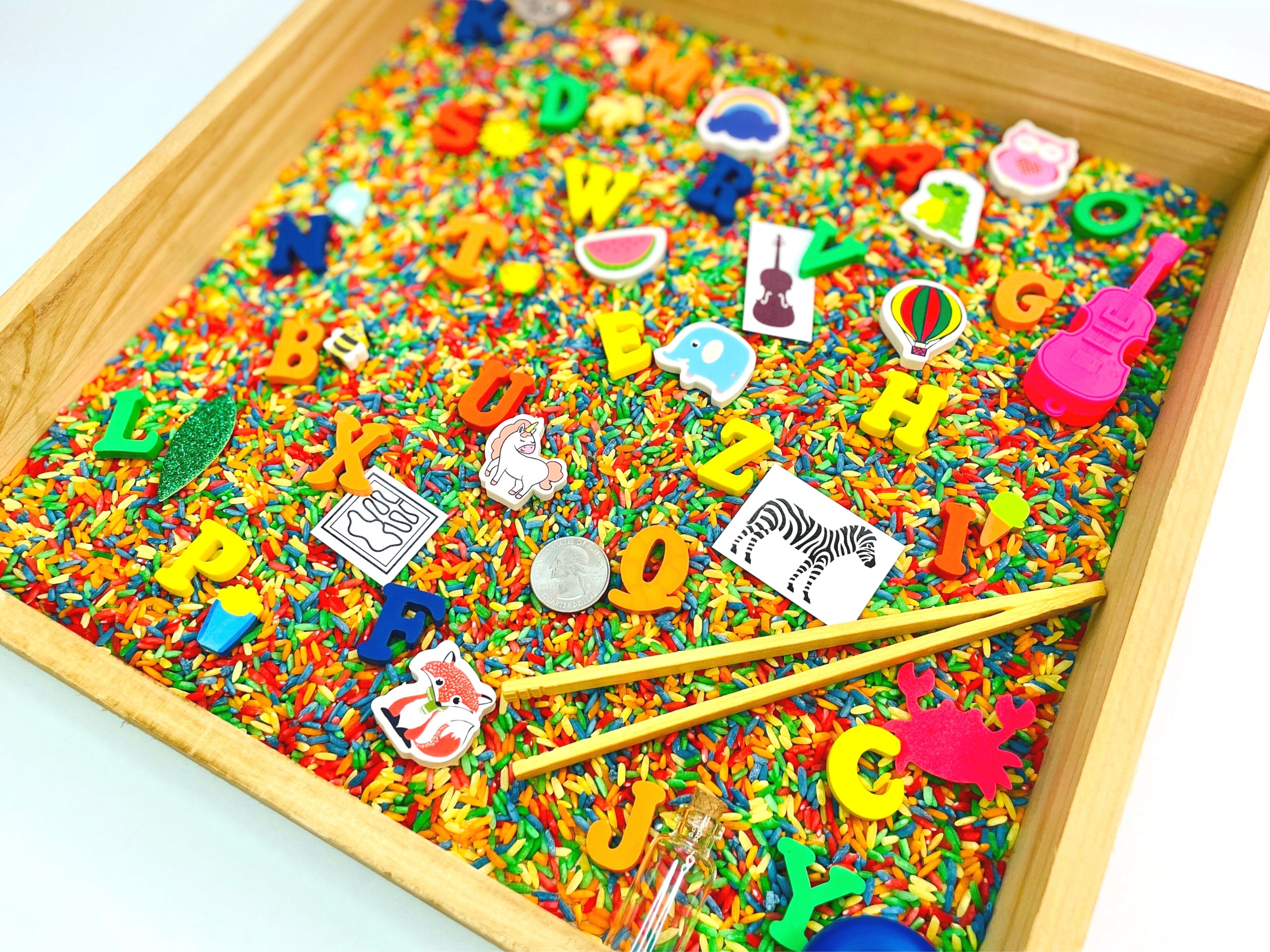 Unlock Your Brain: Matching Letters To Sensory Areas! - 4gojzyw