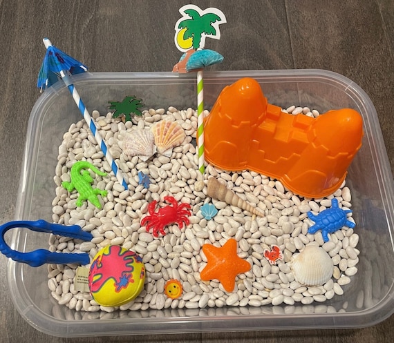 Beach Kinetic Sand & Shell Sensory Bin