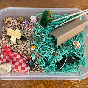 Camp Sensory Bin, Camp Activity, Pretend Play, Sensory Toy, Play Kit, Activity Kit, Sensory Kit, Sensory Box, Toddler Play-Designed by an OT