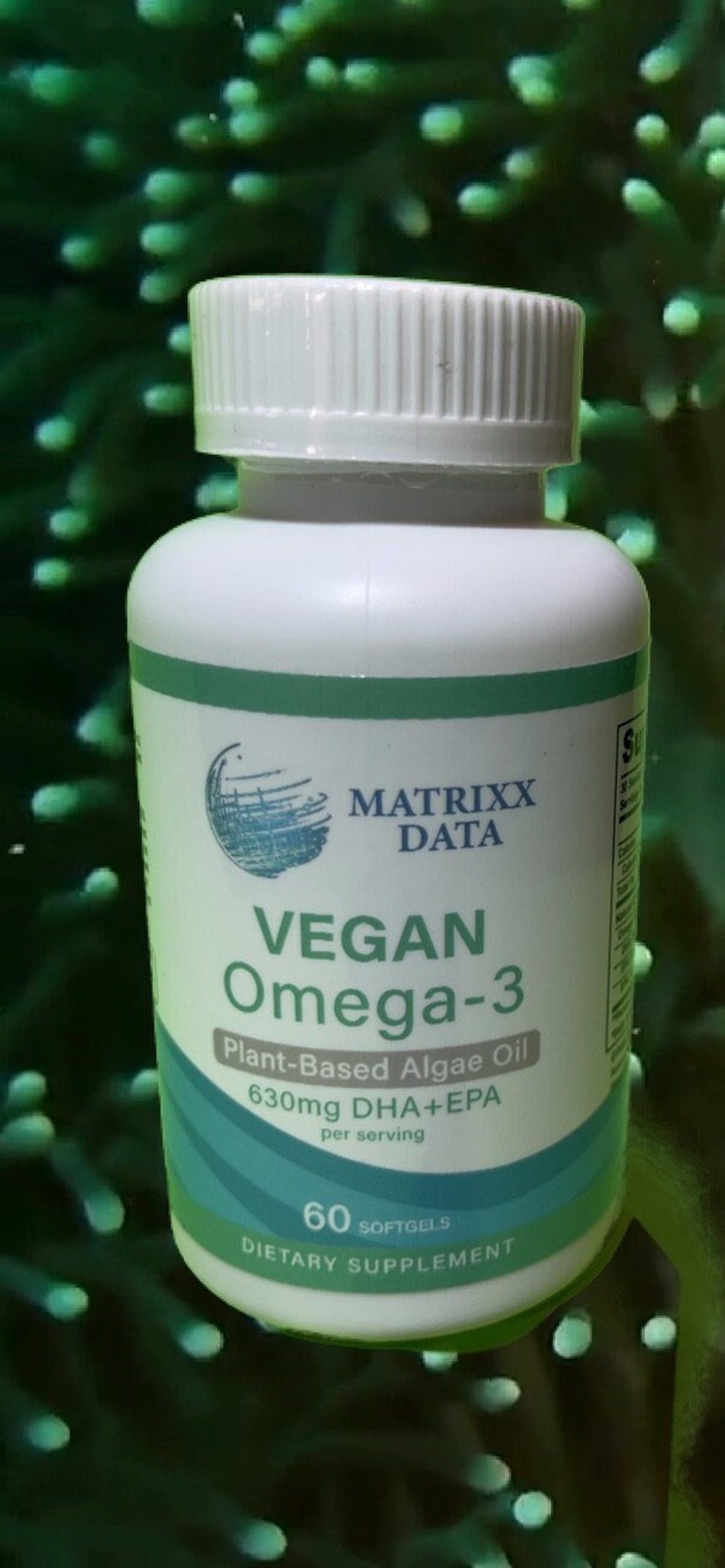 Vegan Omega3 Dietary Supplement 60 Softgels per Bottlevegan Omega3