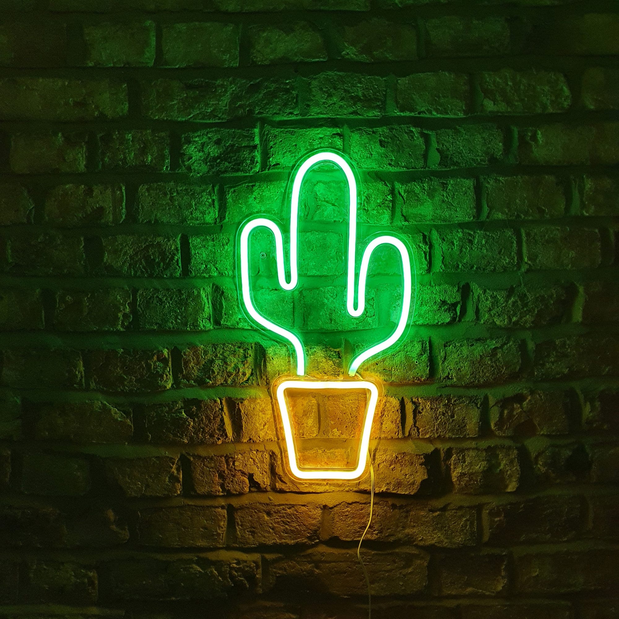 Cactus Neon Sign | LED Night Light | Wall Bedroom Decor | Boys Birthday  Gift UK | Christmas Stocking - Etsy