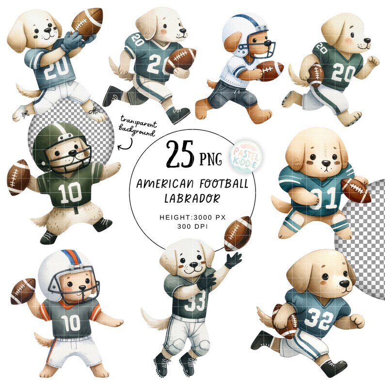 Labrador Retriever, American Football Games, Football Gifts, Football ...