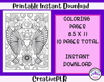 May include: Black and white printable coloring page with a symmetrical design of stylized birds and flowers. The image includes text that reads "Printable Instant Download", "Coloring Pages 8.5 X 11", and "Instant Download". The CreativePLR logo is in the bottom right corner.