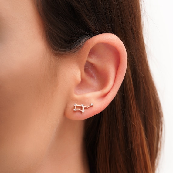 Aquarius constellation earrings new arrivals