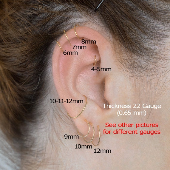 Buy Hypoallergenic Hoop Earrings no Irritation Gold Hoops 20 Gauge