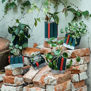 May include: Five green and red planters with various plants, sitting on a pile of red bricks. The planters are made of a dark green material with red accents.