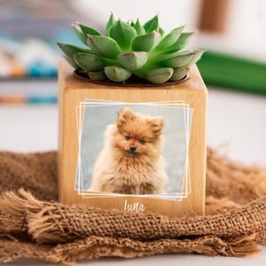 Benutzerdefinierte Haustier Foto Übertopf, Haustier Verlust Trauergeschenk, personalisierte Haustier Liebhaber Geschenk, Katzenmutter, Hundemutter, hölzerner Blumentopf mit Tierporträt Geschenk.