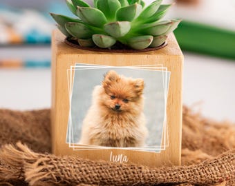 May include: A wooden planter with a succulent plant and a photo of a small, fluffy, light brown dog with the name "Luna" printed below the photo.