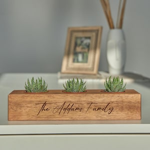 May include: A wooden planter with three small succulent plants. The planter is engraved with the text "The Addams Family".