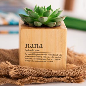 Oma Geschenk Pflanztöpfe, inklusive lebender Sukkulentenpflanze, hölzerner Blumentopf, Gartengeschenk für neue Oma Nana, Outdoor Indoor Gartendekoration