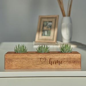 3 Live Plants Included! Wood Plant Pots as Housewarming New Home Gift, Succulent Plants in Planter, Family Reunion, Outdoor and Garden Decor