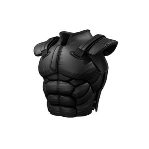 May include: A black padded chest armour with shoulder pads and adjustable straps. The armour has a segmented design, with sections resembling muscle definition. The material appears to be a durable, synthetic fabric.
