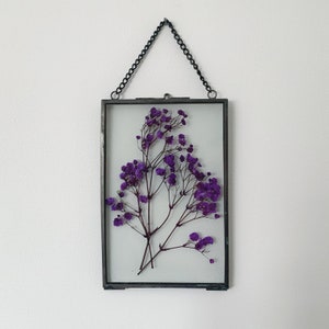Real Dried Pressed Gypsophila in a Frame