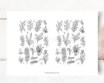 Botanical Line Art, Solitude Plants, Minimalist Botanicals (Digital Printable)