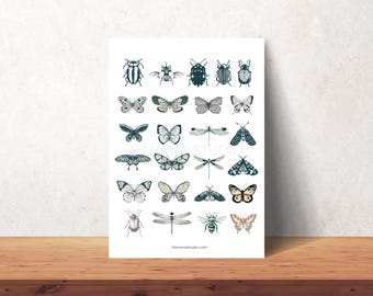Vintage Insect Ephemera: Butterfly, Moth, Beetle Illustrations (Digital Printable)