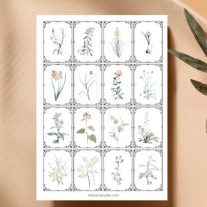 Digital Printable / Vintage Botanicals Ephemera / Journaling / Journal Ephemera / Vintage Ephemera / Botanicals / Junk Journal / Printable
